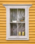 Twillingate window